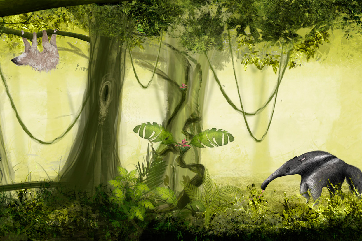 Selvatica Illustration Dschungel